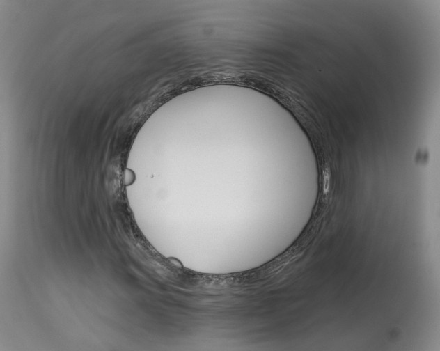 X0000114031011200910021036