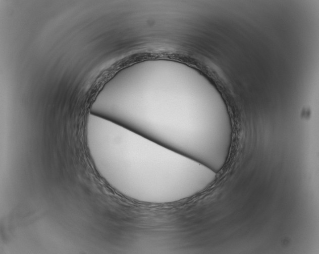 X0000114031016200910021036