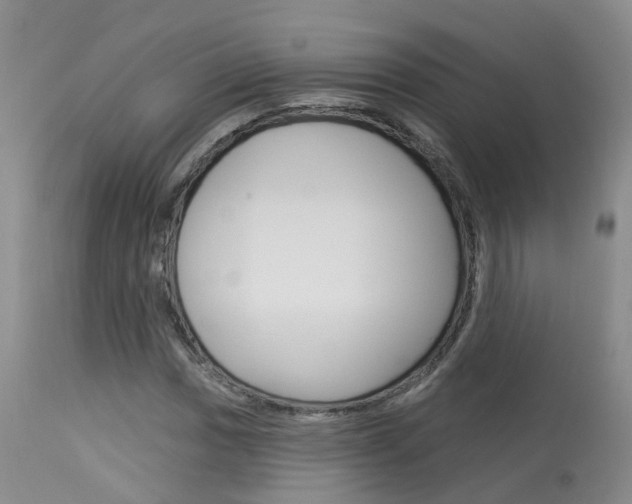 X0000114031017200910021036