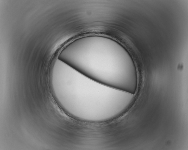 X0000114031018200910021036
