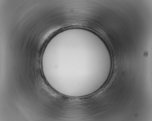 X0000114031019200910021036