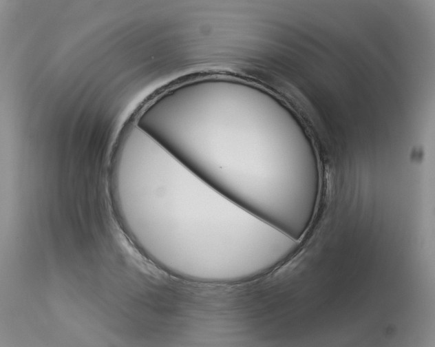 X0000114031020200910021036