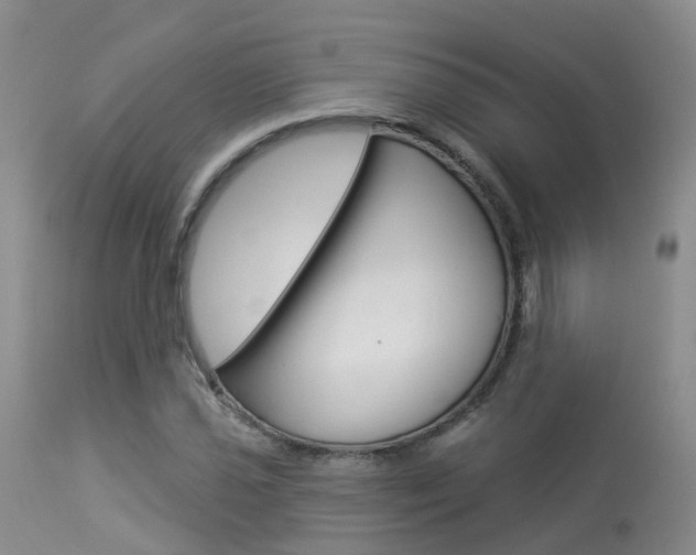 X0000114031021200910021036