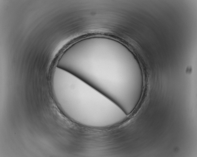X0000114031022200910021036