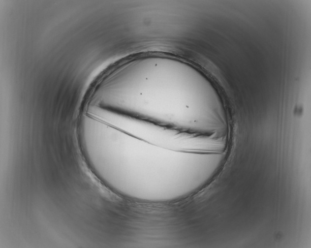 X0000114031024200910021036