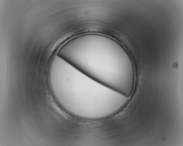 X0000114031026200910021036