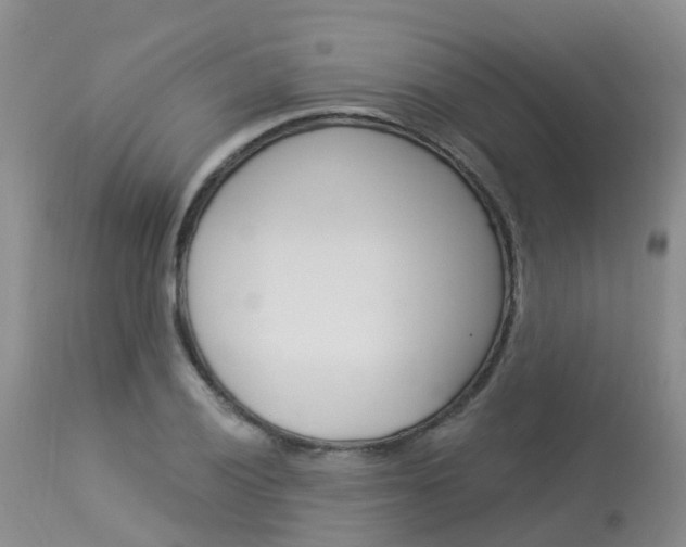 X0000114031028200910021036