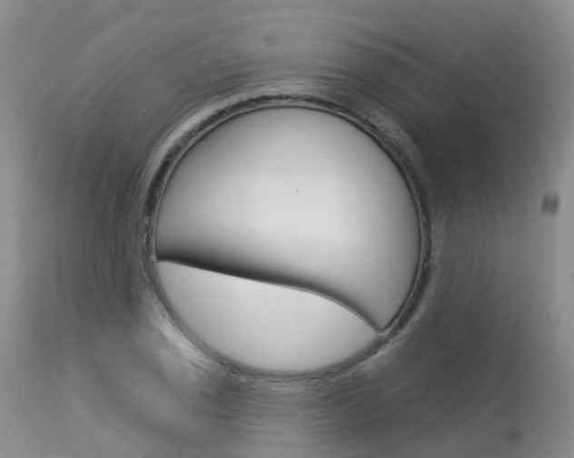 X0000114031029200910021036