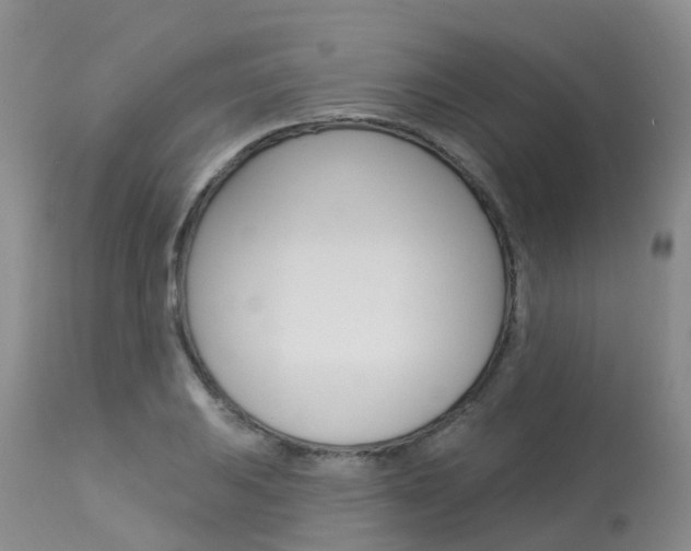 X0000114031031200910021036