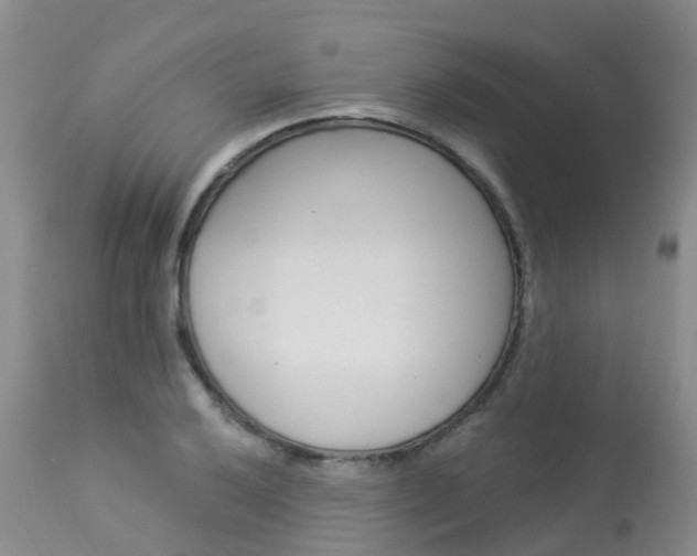 X0000114031032200910021036