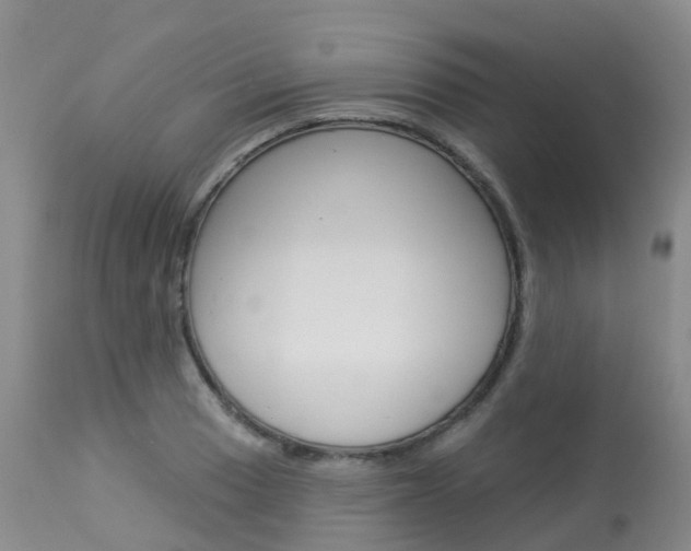 X0000114031033200910021036