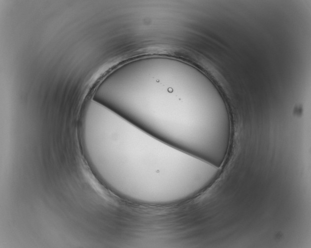 X0000114031034200910021036