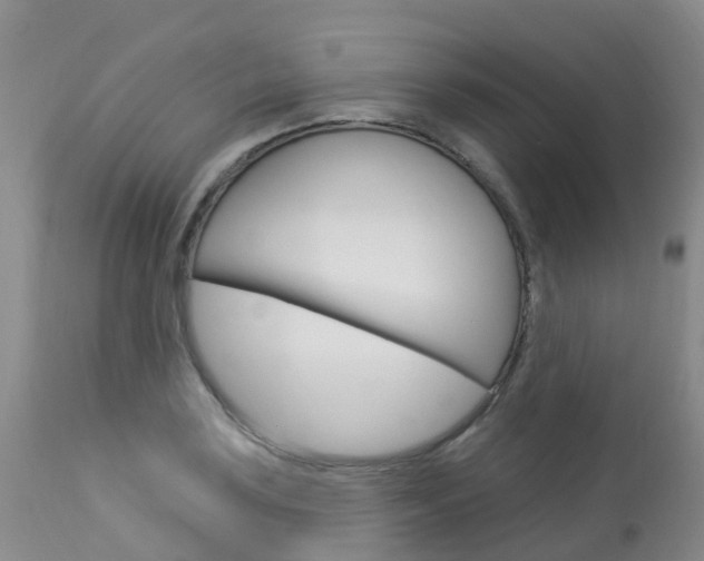 X0000114031035200910021036