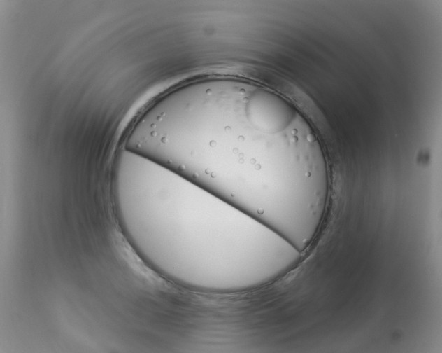 X0000114031036200910021036