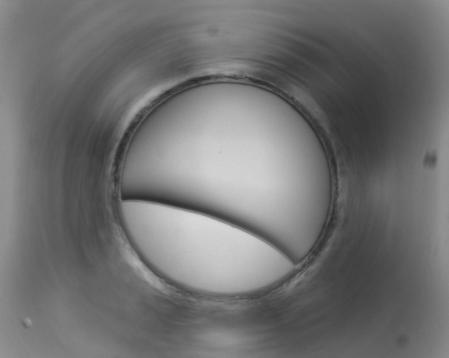 X0000114031037200910021036