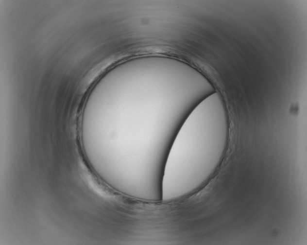 X0000114031039200910021036