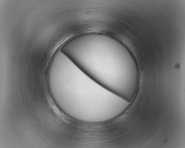 X0000114031042200910021036