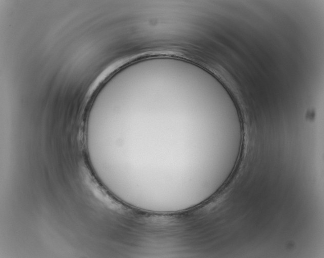 X0000114031044200910021036