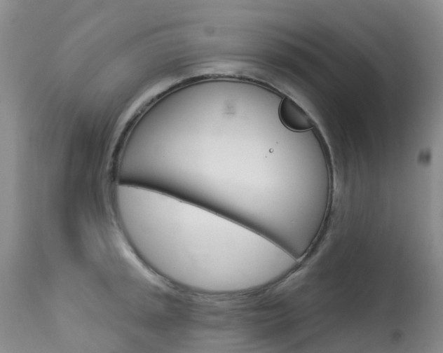 X0000114031045200910021036