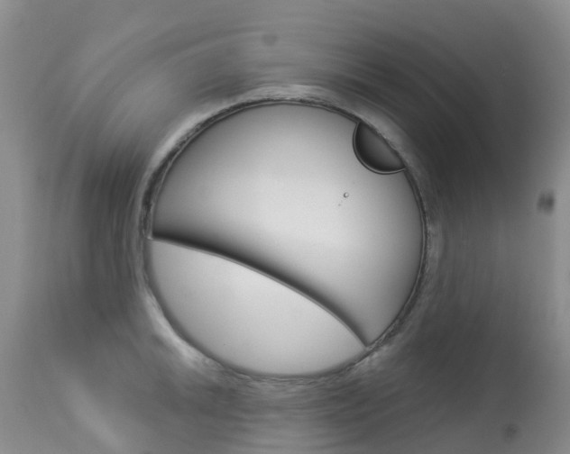 X0000114031046200910021036