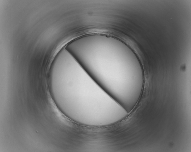 X0000114031050200910021036