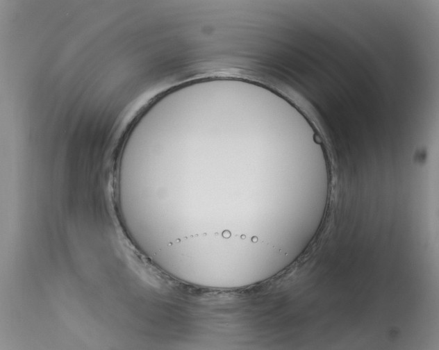 X0000114031051200910021036