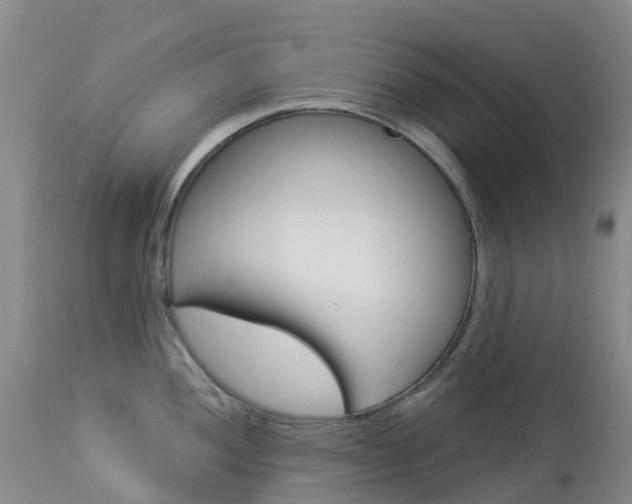 X0000114031052200910021036