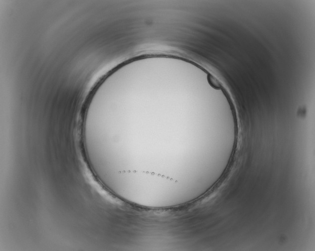 X0000114031053200910021036