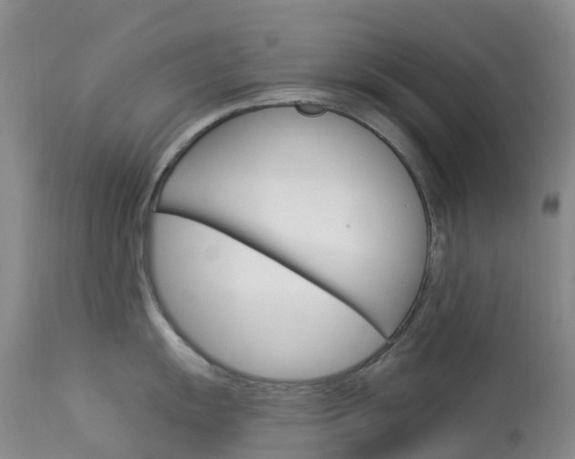 X0000114031055200910021036