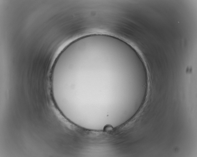 X0000114031056200910021036