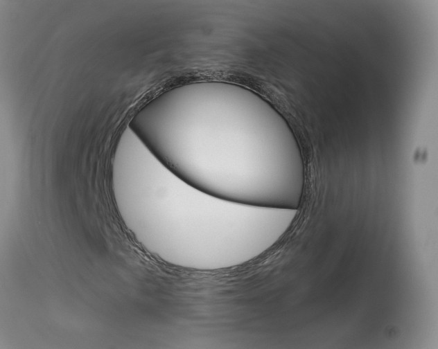 X0000114031057200910021036