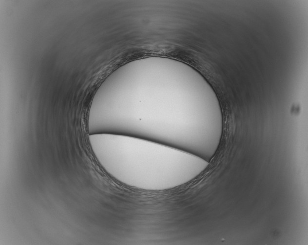 X0000114031058200910021036