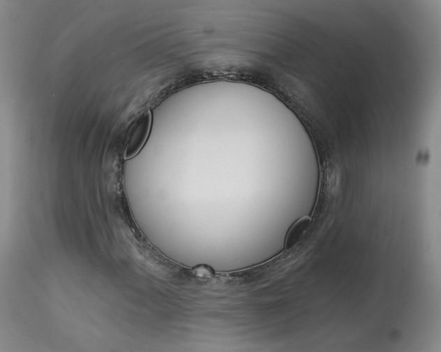 X0000114031060200910021036
