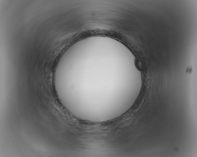 X0000114031061200910021036