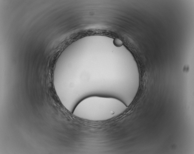 X0000114031062200910021036