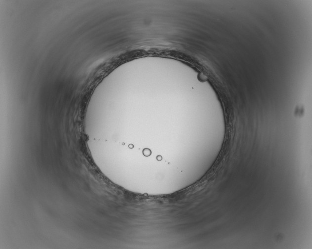 X0000114031063200910021036