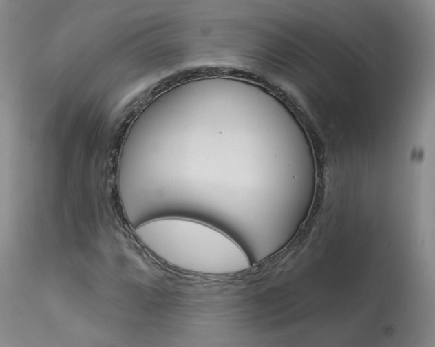 X0000114031064200910021036