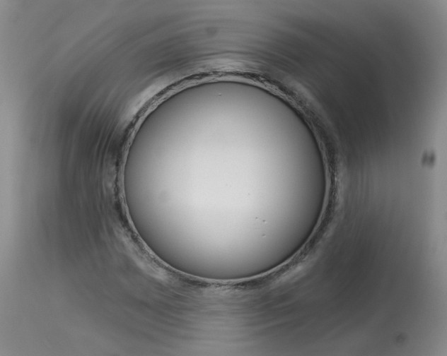 X0000114031065200910021035