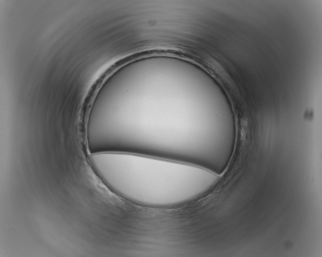 X0000114031068200910021035