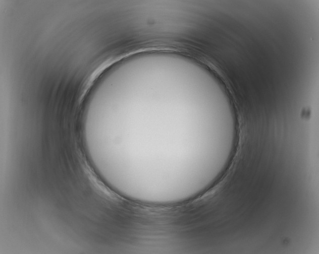 X0000114031075200910021035