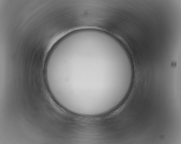 X0000114031077200910021035