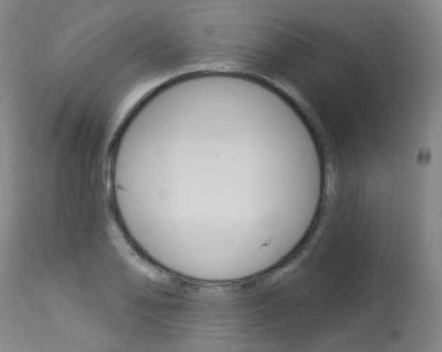 X0000114031078200910021035