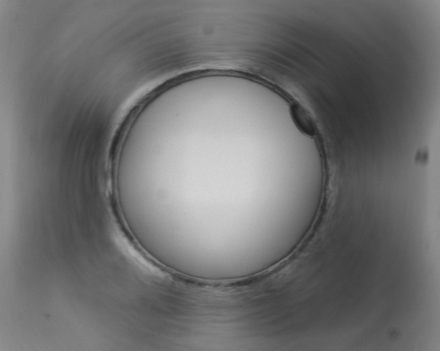 X0000114031080200910021035