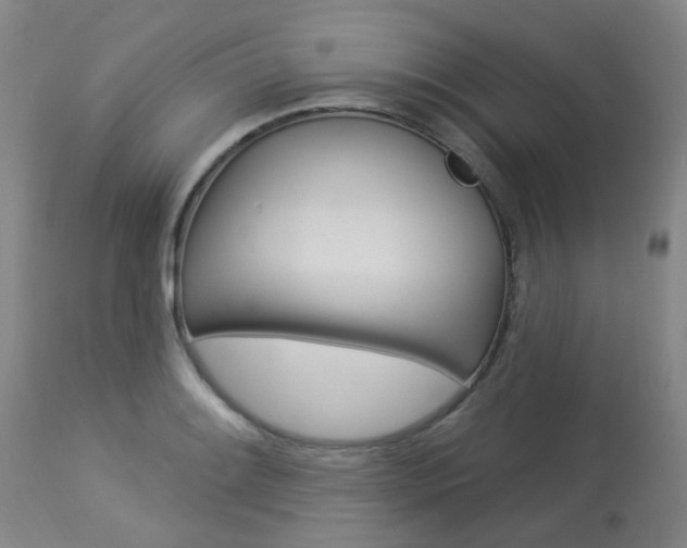 X0000114031084200910021035