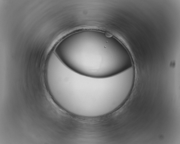 X0000114031093200910021035