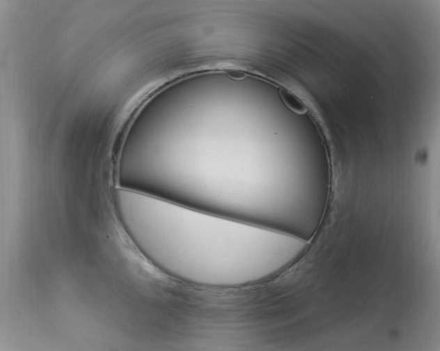 X0000114031096200910021035
