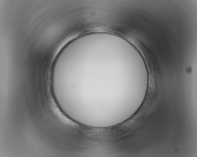 X0000114031098200910021035