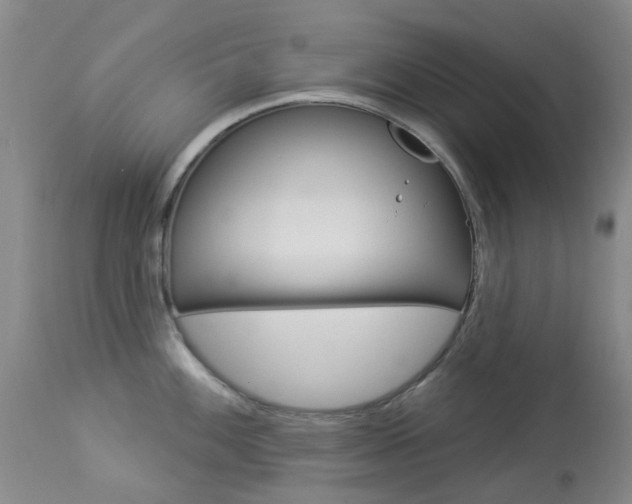 X0000114031100200910021035