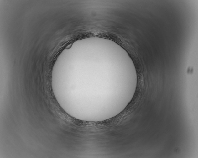 X0000114031105200910021034