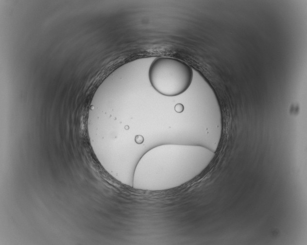 X0000114031106200910021034